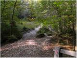 Stara Fužina - Planina Spodnja Grintovica